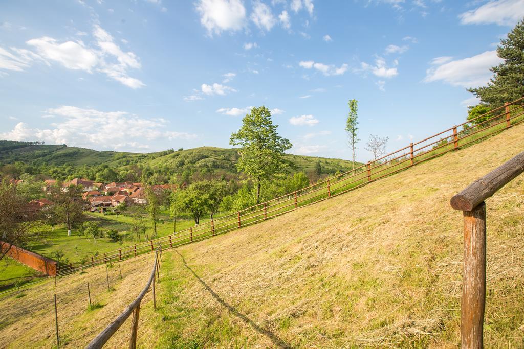 Pensiunea Dor De Casa Pestenita Экстерьер фото