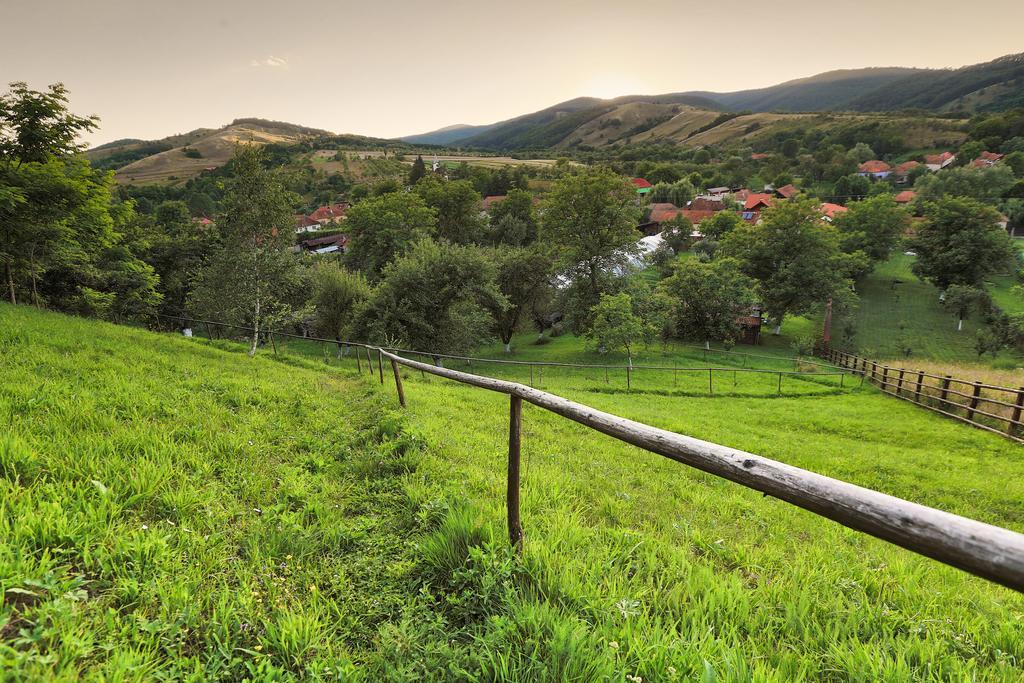 Pensiunea Dor De Casa Pestenita Экстерьер фото